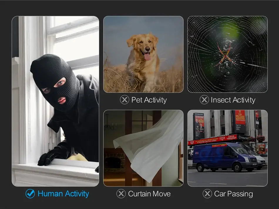 8MP 360° Outdoor PoE Camera System with Pan Control