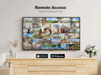 36-Channel Network Video Recorder for IP Cameras