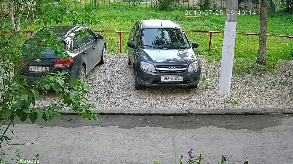 Real Image Feedback