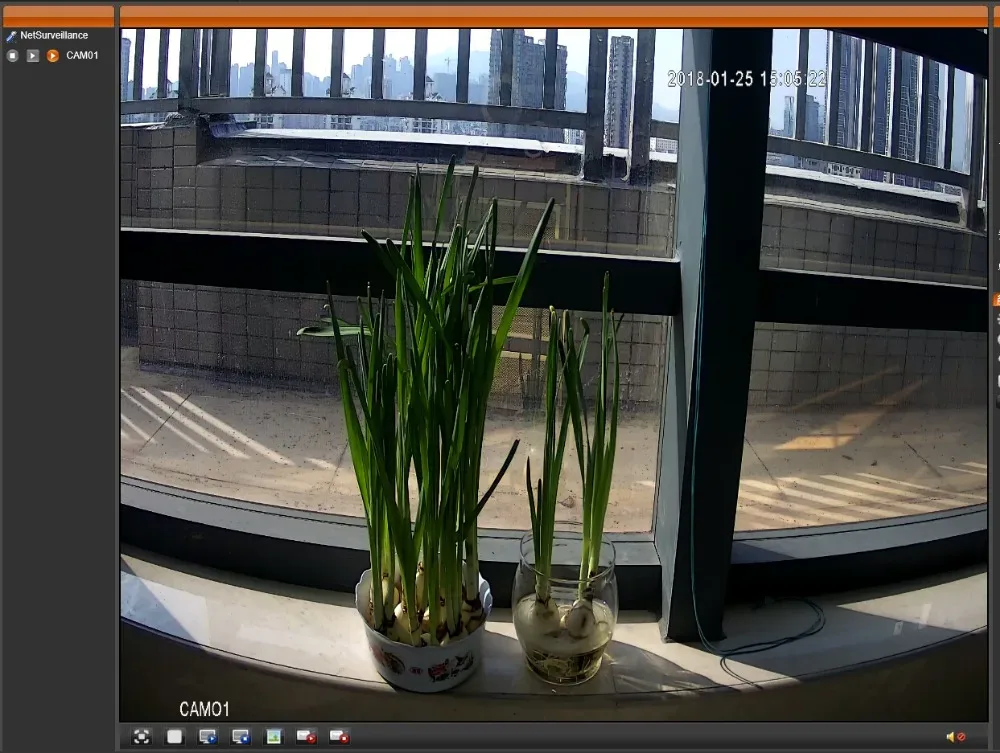 Real Use Display